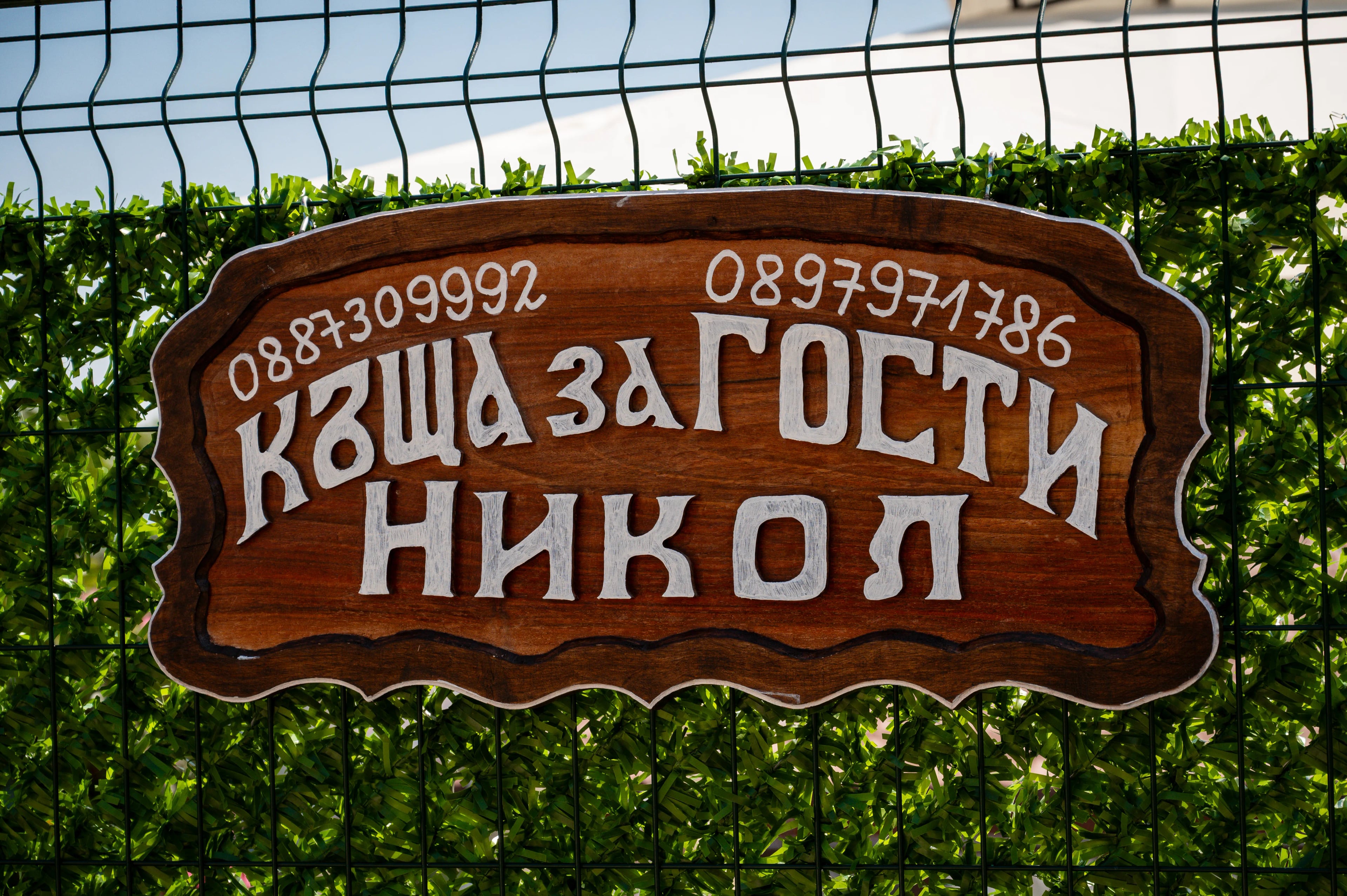 Стая